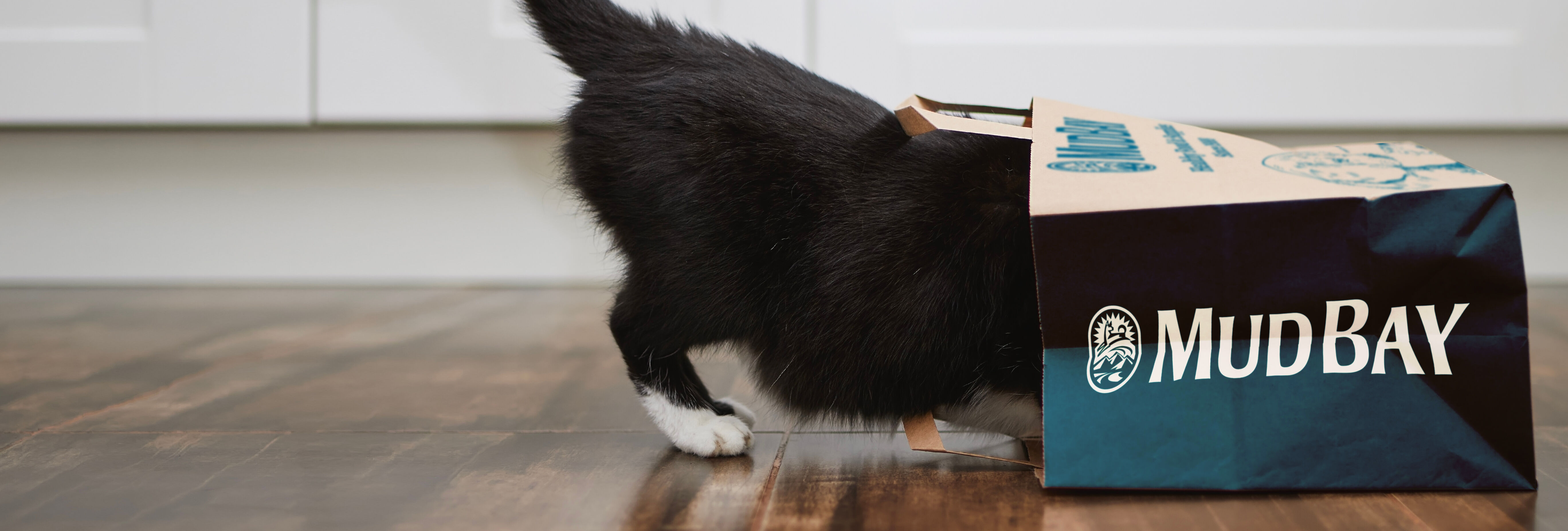 pet with head in Mud Bay shopping bag
